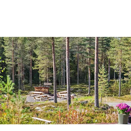 Hyttekos & Panorama *